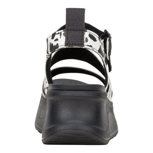 Delray Buckle Animal - Black/White - 5